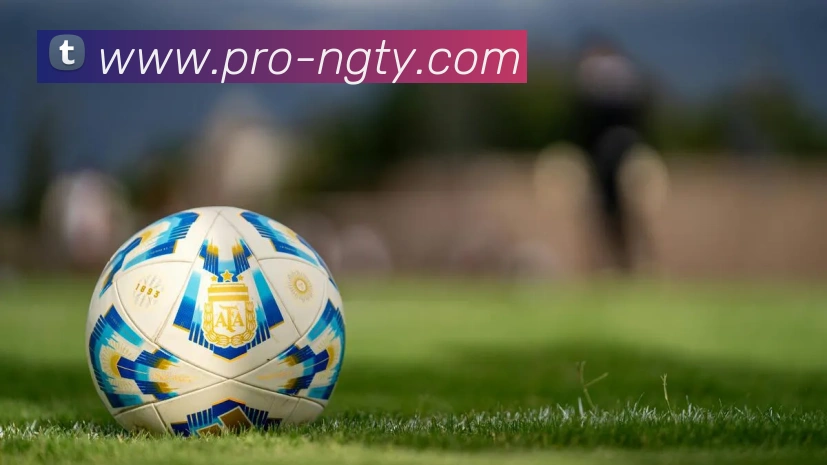 NG体育APP 封面图